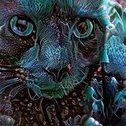 ZoidReacts