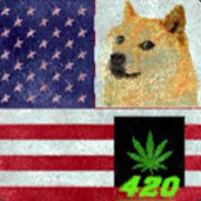 AmericanDoge420