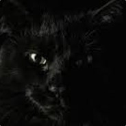 KittyLover429