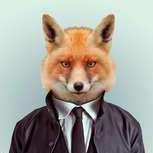Smiley Fox