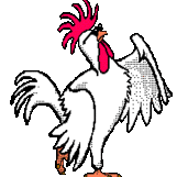 SoChicken1