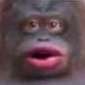 Monkey Smell