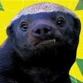 ObnoxiousBadger