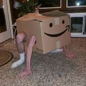 amazon box boi